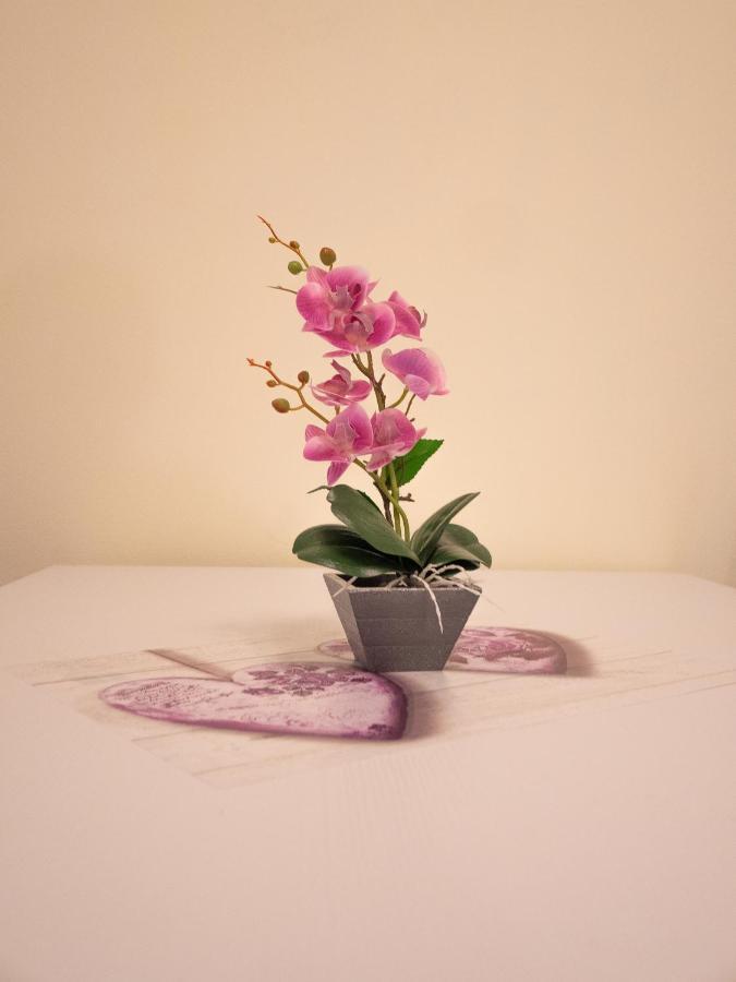 Camelia House Appartement Bellano Buitenkant foto